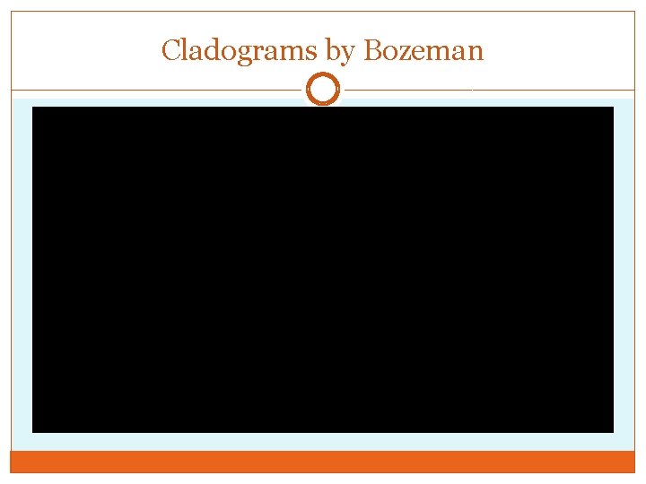 Cladograms by Bozeman 