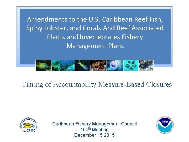 Amendments to the U. S. Caribbean Reef Fish, Spiny Lobster, and Corals And Reef