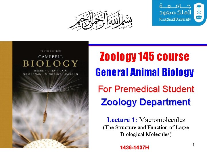 Zoology 145 course General Animal Biology For Premedical Student Zoology Department Lecture 1: Macromolecules
