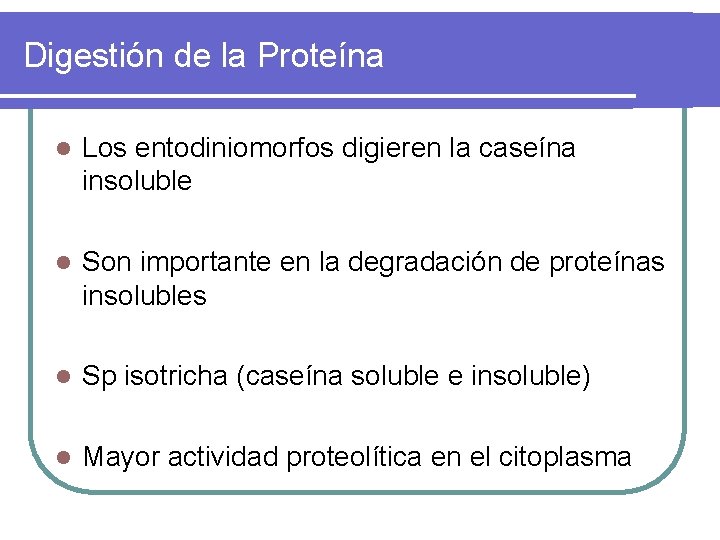 Digestión de la Proteína l Los entodiniomorfos digieren la caseína insoluble l Son importante