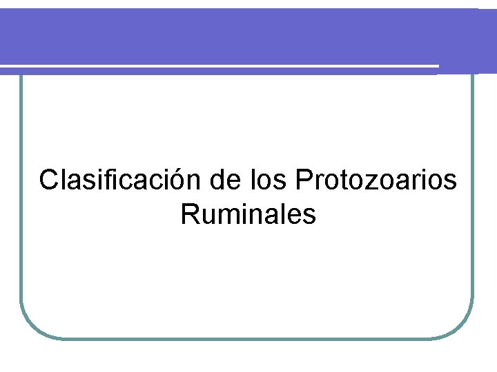 Clasificación de los Protozoarios Ruminales 