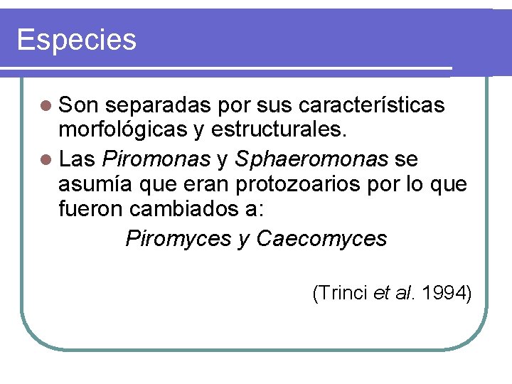 Especies l Son separadas por sus características morfológicas y estructurales. l Las Piromonas y