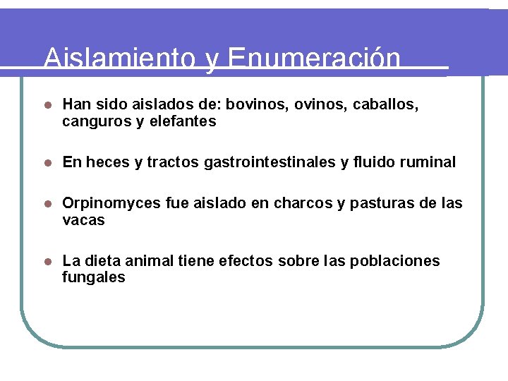 Aislamiento y Enumeración l Han sido aislados de: bovinos, caballos, canguros y elefantes l