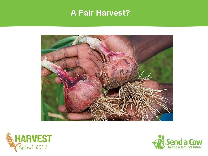 A Fair Harvest? 