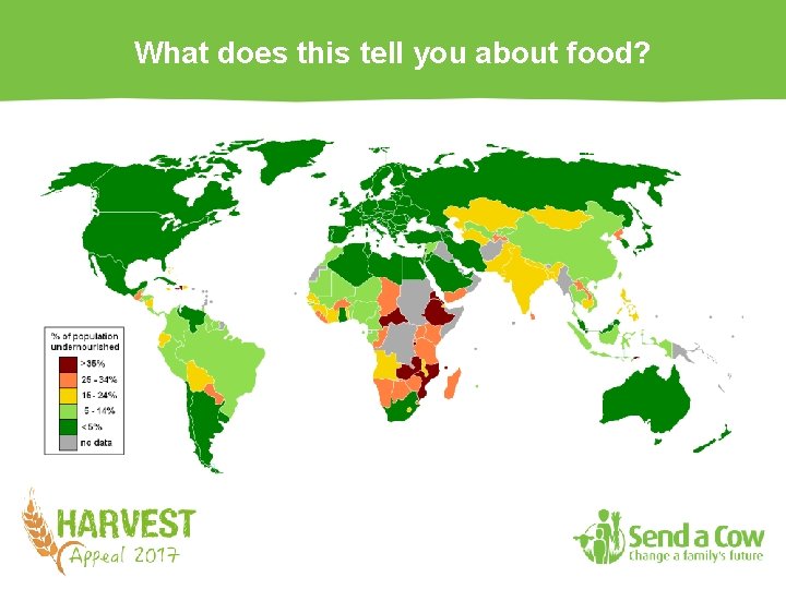 What does this tell you about food? 