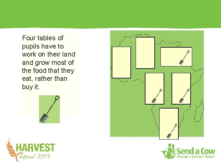 Four tables of pupils have to work on their land grow most of the