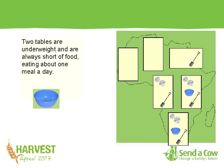 Two tables are underweight and are always short of food, eating about one meal