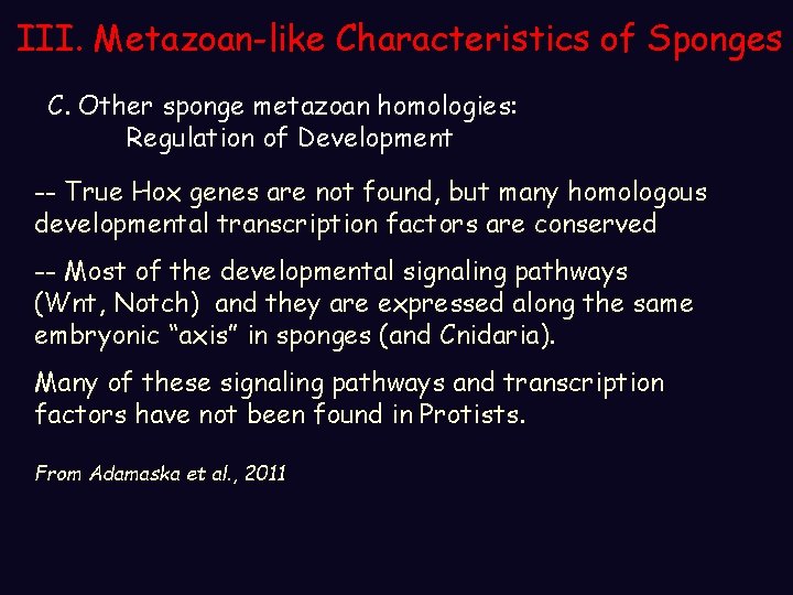 III. Metazoan-like Characteristics of Sponges C. Other sponge metazoan homologies: Regulation of Development --