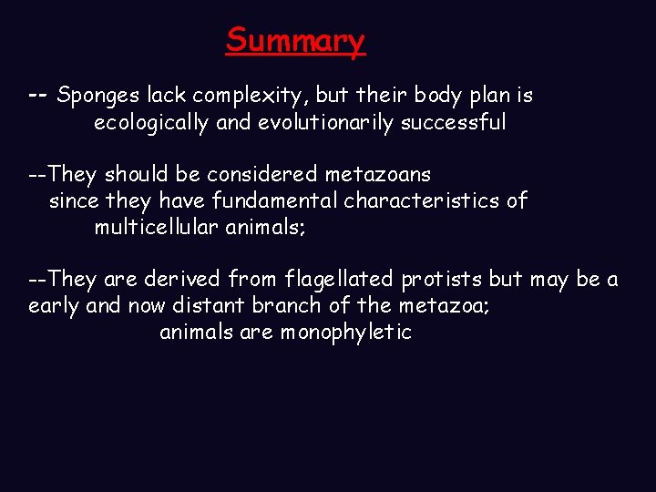 Summary -- Sponges lack complexity, but their body plan is ecologically and evolutionarily successful