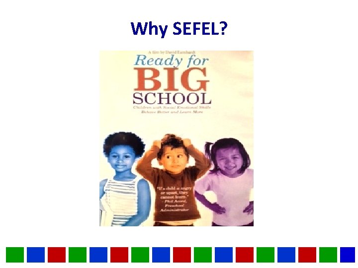 Why SEFEL? 