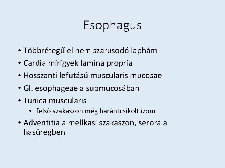 Esophagus • Többrétegű el nem szarusodó laphám • Cardia mirigyek lamina propria • Hosszanti