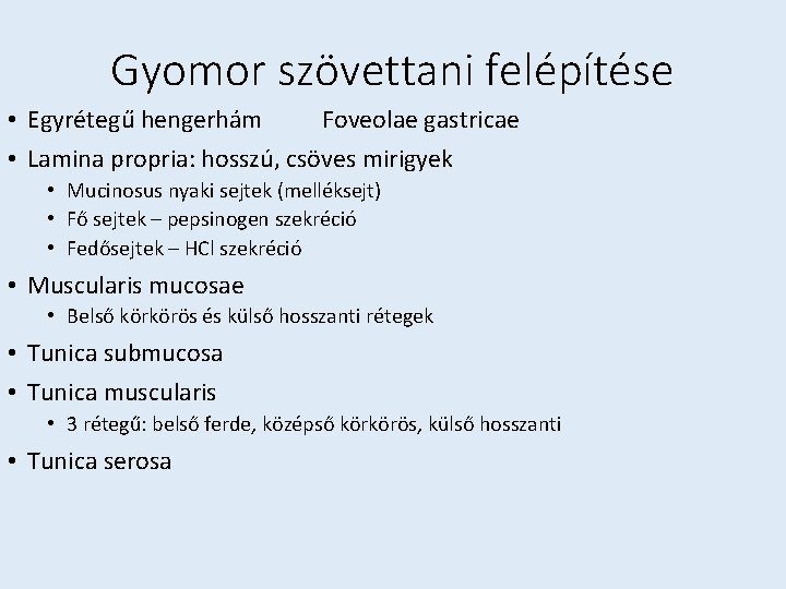 Gyomor szövettani felépítése • Egyrétegű hengerhám Foveolae gastricae • Lamina propria: hosszú, csöves mirigyek