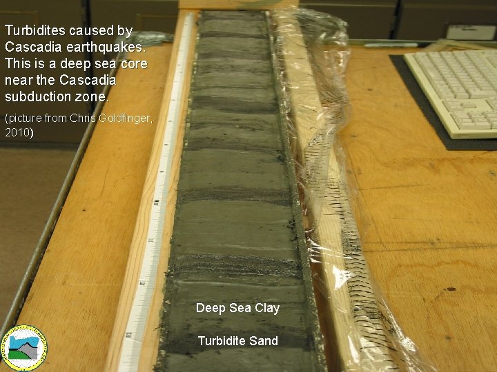 Turbidites caused by Cascadia earthquakes. This is a deep sea core near the Cascadia