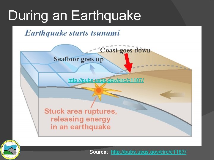During an Earthquake Coast goes down Seafloor goes up http: //pubs. usgs. gov/circ/c 1187/