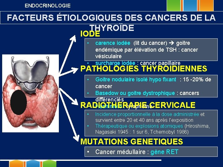 ENDOCRINOLOGIE FACTEURS ÉTIOLOGIQUES DES CANCERS DE LA THYROÏDE IODE • • carence iodée (lit