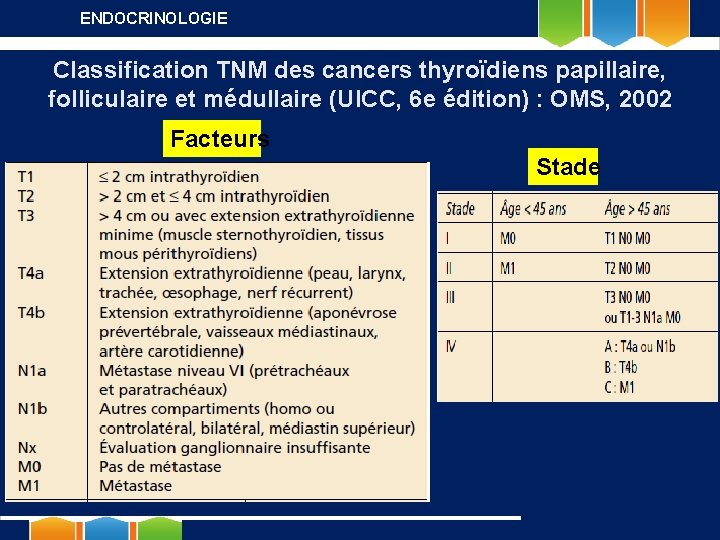 ENDOCRINOLOGIE Classification TNM des cancers thyroïdiens papillaire, folliculaire et médullaire (UICC, 6 e édition)