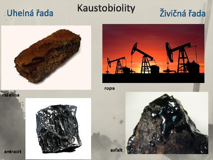 Uhelná řada Kaustobiolity ropa rašelina antracit asfalt Živičná řada 