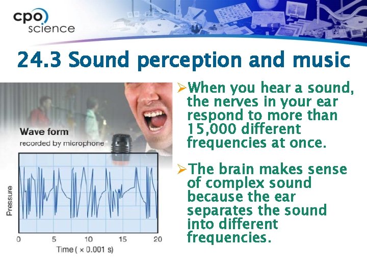 24. 3 Sound perception and music ØWhen you hear a sound, the nerves in