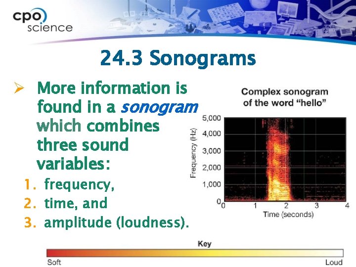 24. 3 Sonograms Ø More information is found in a sonogram which combines three