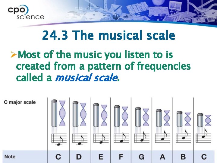 24. 3 The musical scale ØMost of the music you listen to is created