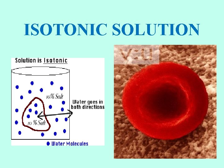 ISOTONIC SOLUTION 