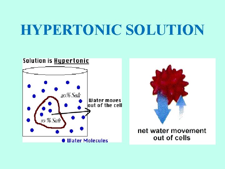 HYPERTONIC SOLUTION 