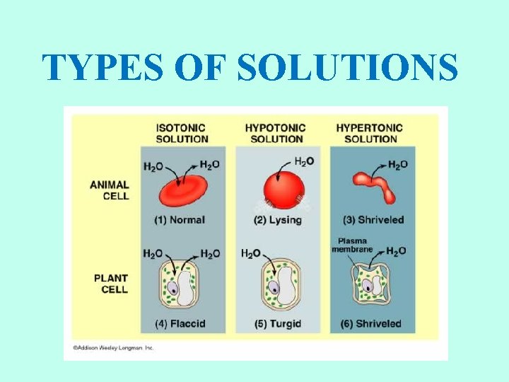 TYPES OF SOLUTIONS 