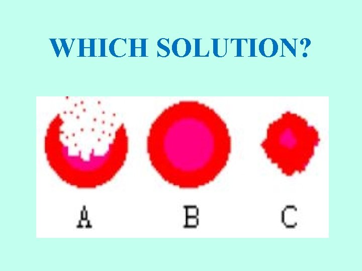 WHICH SOLUTION? 