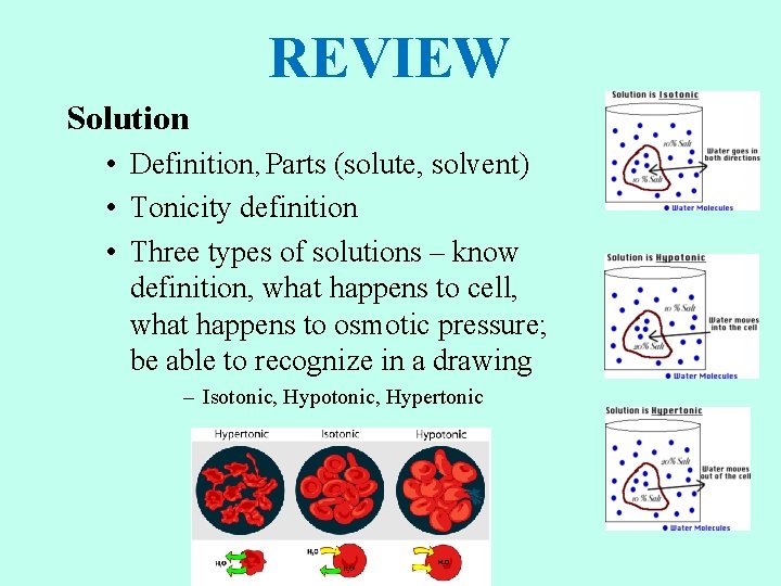 REVIEW Solution • Definition, Parts (solute, solvent) • Tonicity definition • Three types of