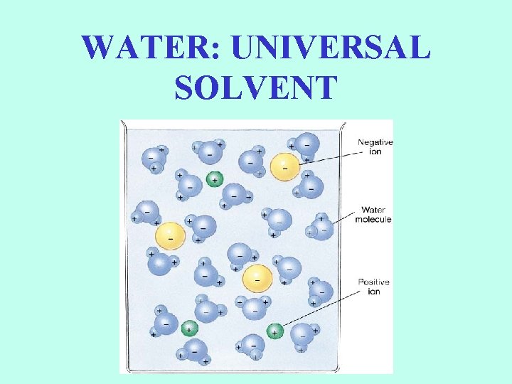 WATER: UNIVERSAL SOLVENT 