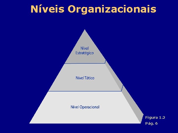 Níveis Organizacionais Figura 1. 2 Pág. 6 