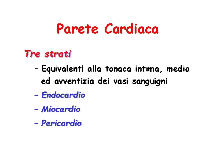 Parete Cardiaca Tre strati – Equivalenti alla tonaca intima, media ed avventizia dei vasi