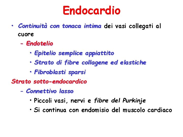 Endocardio • Continuità con tonaca intima dei vasi collegati al cuore – Endotelio •