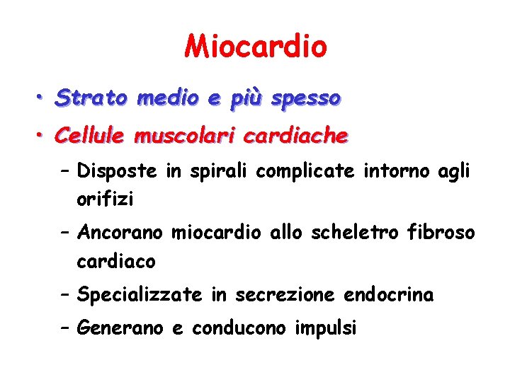 Miocardio • Strato medio e più spesso • Cellule muscolari cardiache – Disposte in