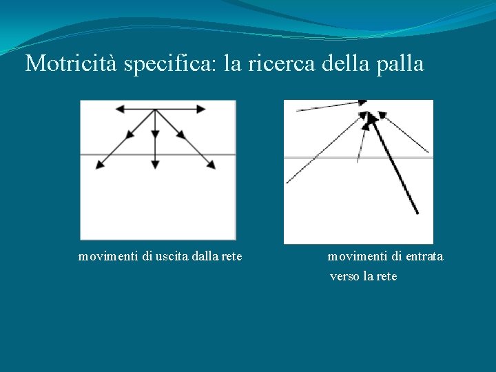 Motricità specifica: la ricerca della palla movimenti di uscita dalla rete movimenti di entrata