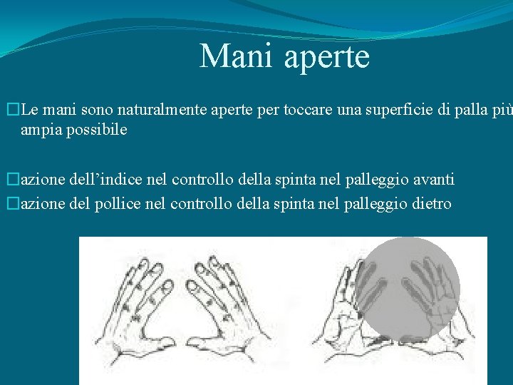 Mani aperte �Le mani sono naturalmente aperte per toccare una superficie di palla più