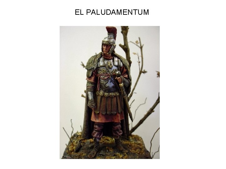 EL PALUDAMENTUM 