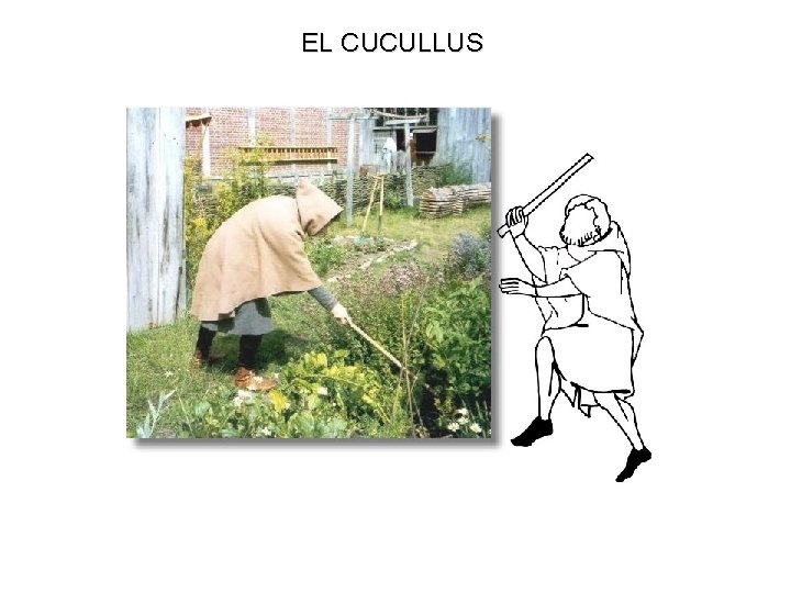 EL CUCULLUS 