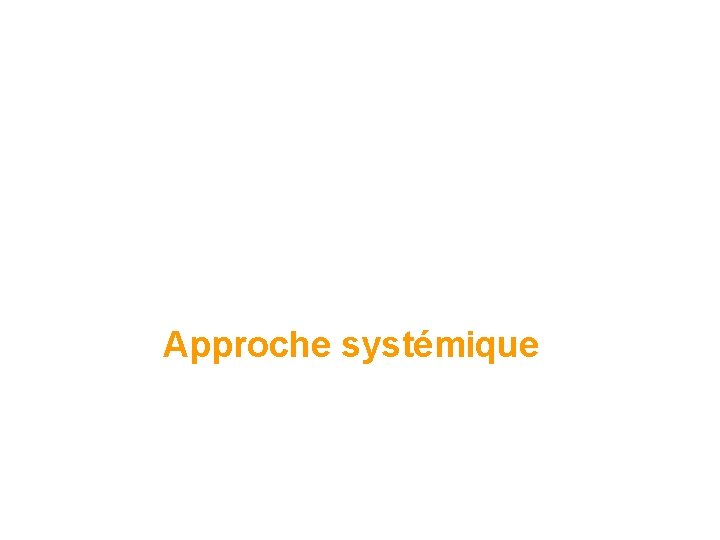 Projet Professionnel Personnalisé Approche systémique 