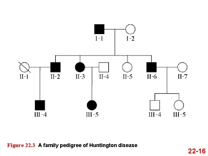 Figure 22. 3 A family pedigree of Huntington disease 22 -16 