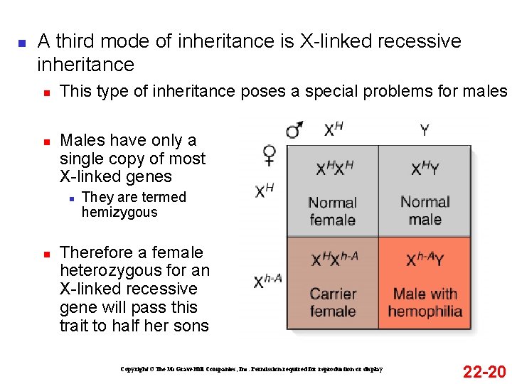 n A third mode of inheritance is X-linked recessive inheritance n n This type