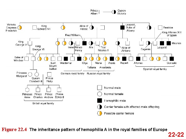 Figure 22. 4 The inheritance pattern of hemophilia A in the royal families of