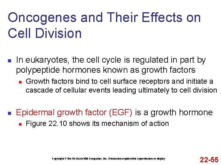 Oncogenes and Their Effects on Cell Division n In eukaryotes, the cell cycle is