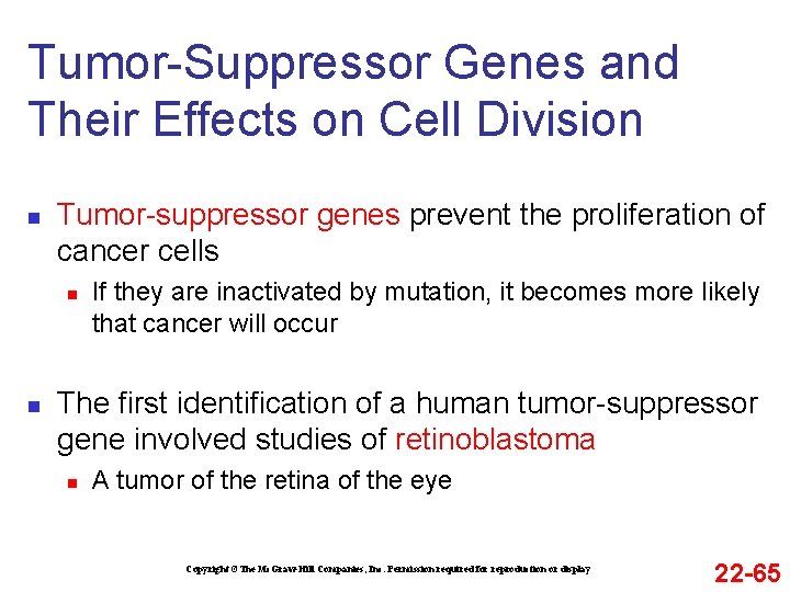 Tumor-Suppressor Genes and Their Effects on Cell Division n Tumor-suppressor genes prevent the proliferation