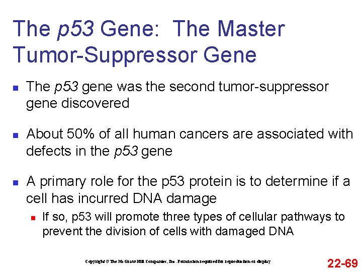 The p 53 Gene: The Master Tumor-Suppressor Gene n n n The p 53