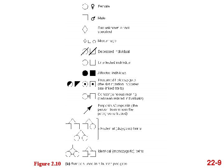 Figure 2. 10 22 -9 