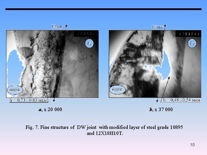 a, х 20 000 b, х 37 000 Fig. 7. Fine structure of DW