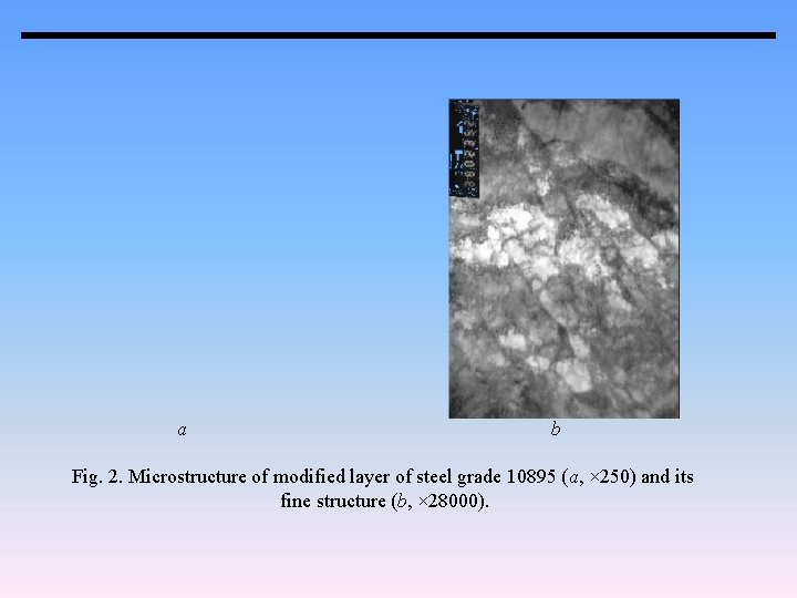 a b Fig. 2. Microstructure of modified layer of steel grade 10895 (a, ×