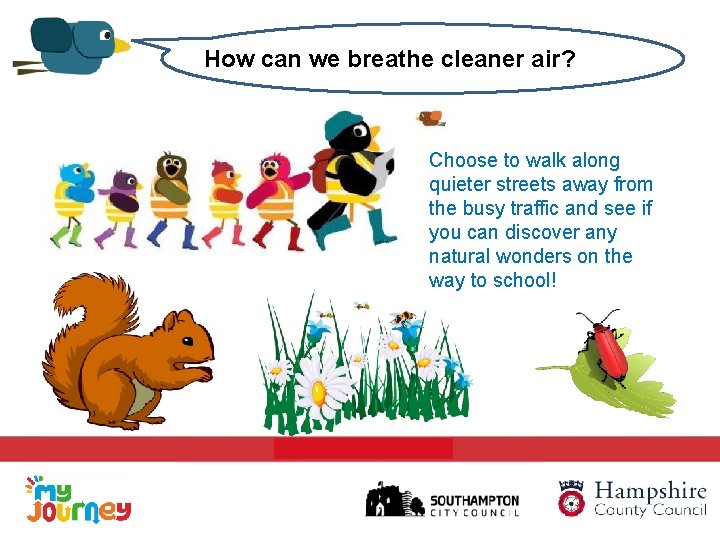 How can we breathe cleaner air? Choose to walk along quieter streets away from