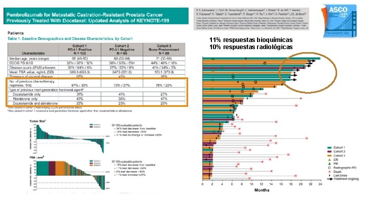 11% respuestas bioquímicas 10% respuestas radiológicas 